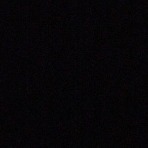 Meet your Posher, Valentina🧸